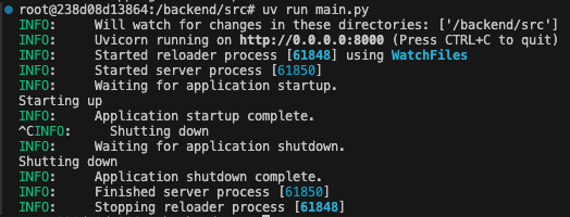 FastAPI Lifespan Output